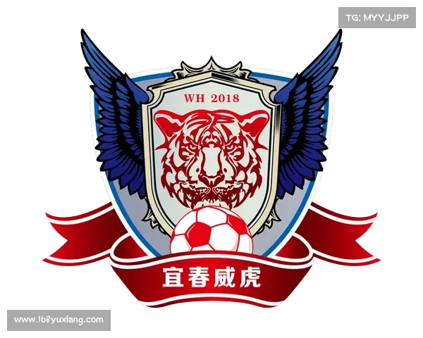 为什么中国足协标识与各级球队队徽存在明显差异背后的历史与管理原因探析